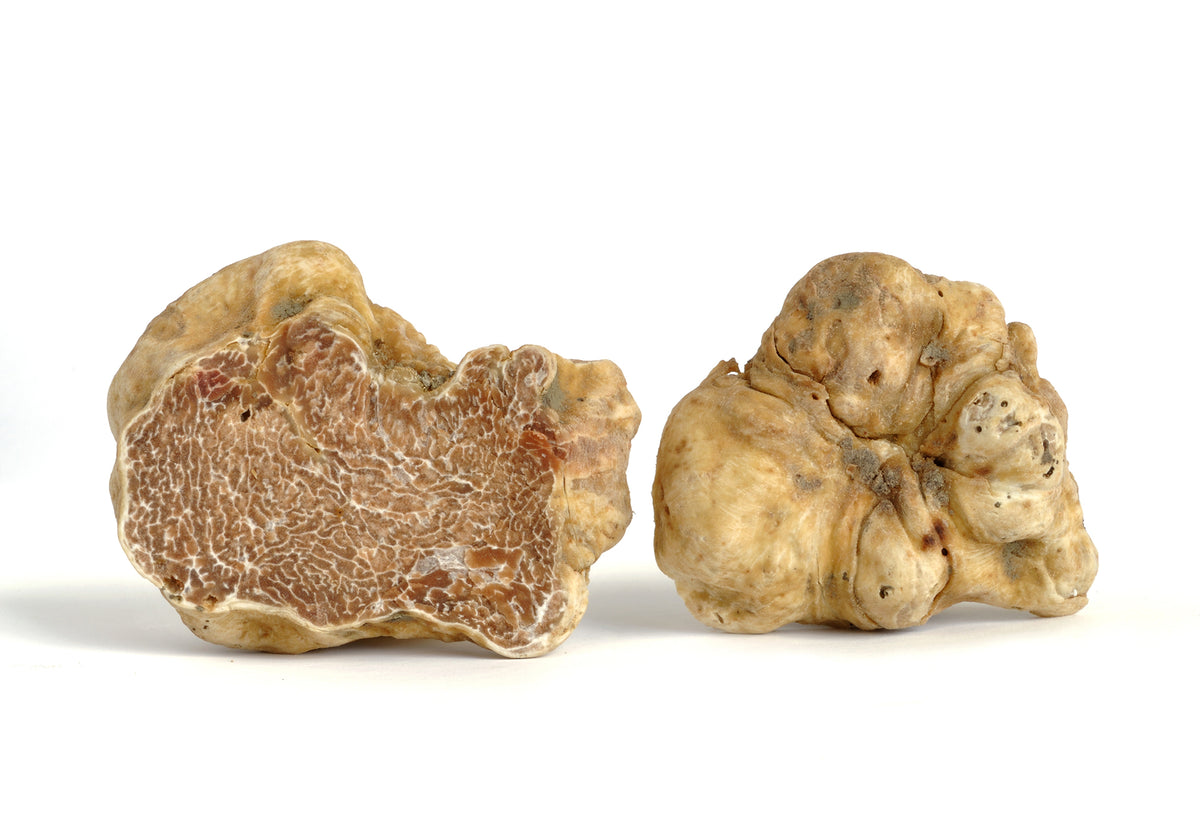 Nos truffes blanches